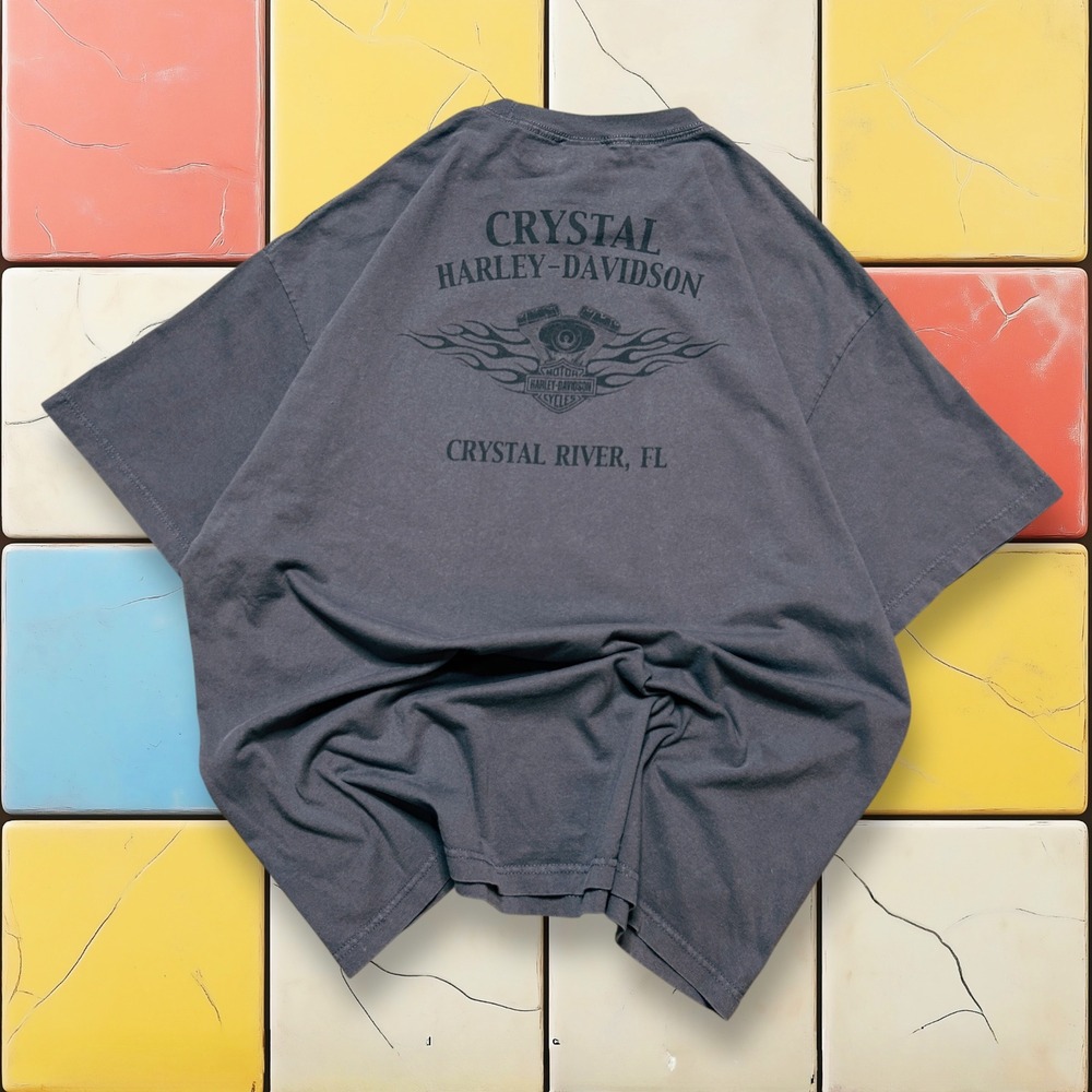 VTG Harley Davidson V-Twin Flame Shirt Y2K Men Gray 3XL‎ Eagle Biker Grunge Tee - Picture 5 of 14